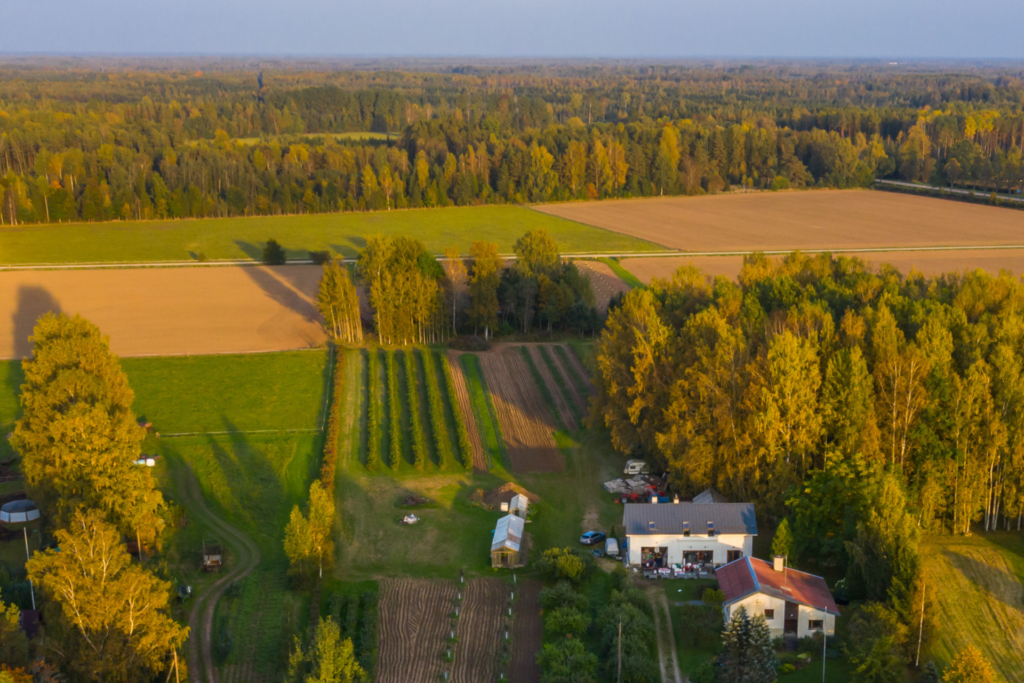 Langemaa-veinimaja-vaade